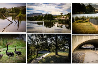 A Canberra Year - Week 2 – 8 to 15 January