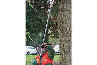 Earning a Hedge Cutter on Decentralized Pictures