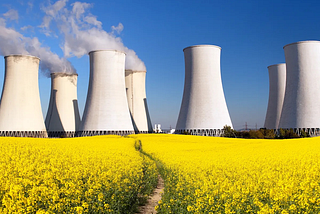 Nuclear Energy: A Possible Future for Power