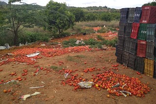 Field Notes from Anantapur’s Tomato Markets