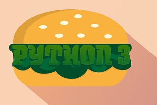 Python 3 Type Hints: Filling or Garnish?