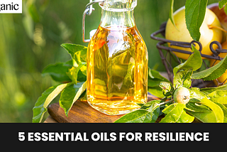 5 Essential Oils for Resilience