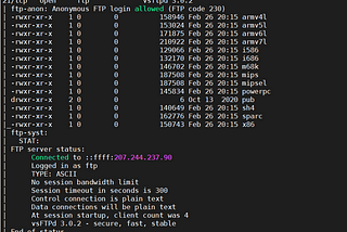 Hacking the Hackers: Taking Down a Live Botnet