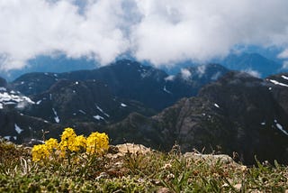 The Tale of Peace Atop a Mountain