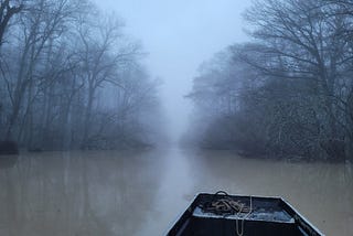 Magical Louisiana Swamplands