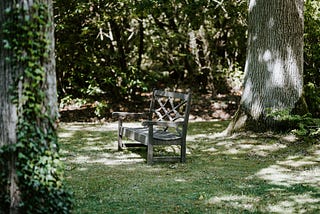 The Chair in the Garden