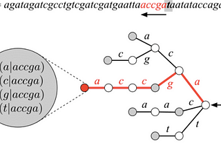 You trie(d) it! An introduction to Tries and its applications in Python