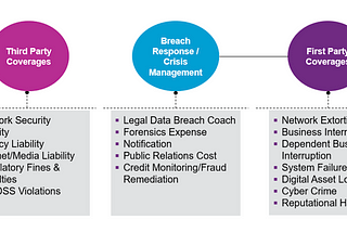 Cyber Insurance in Perspective