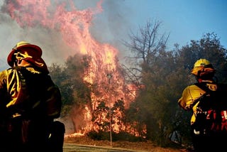 Thanksgiving 2018 Reflections: Why protecting our environment is more important that ever