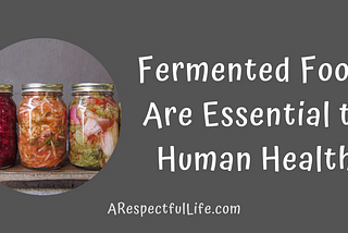 Fermented Foods Are Essential to Human Health