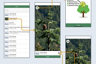 Figma screens with flow arrows