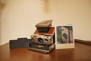 Remora-01, MiNT SLR 670 and first shot I took with this combo