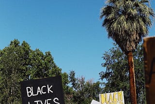 The Media’s impact on activism