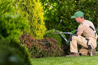Why Garden Maintenance is Worth the Effort