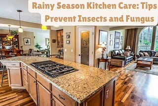 Rainy Season Kitchen Care: Tips to Prevent Insects and Fungus