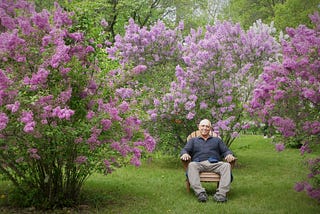 Lilacs: Diverse Queens of the Flowering Shrubs