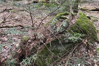 A Split-Filled Rock Near Richmond, Vermont