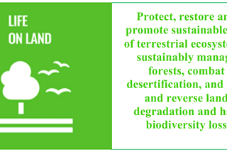 We’re not harnessing the power of forests to fight climate change. Farmers for Forests will..