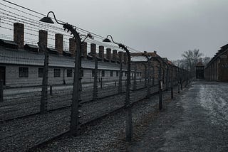 The Horrors of Holocaust.