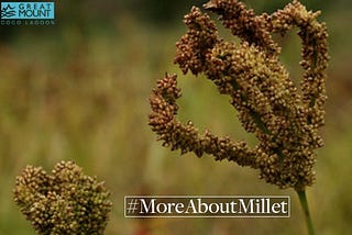 More About Millets at Coco Lagoon