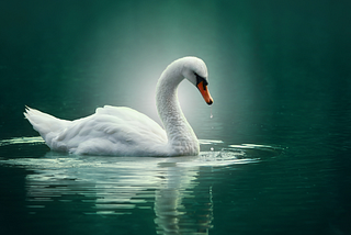 understanding twin flames