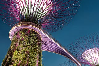 Futuristic Supertree structures at Singapore’s Gardens by the Bay illuminated at dusk, featuring towering metal frameworks resembling giant trees with branching canopies of purple and pink lights against a deep blue twilight sky. The iconic OCBC Skyway bridge connects the vertical gardens, which are covered in lush tropical vegetation, creating a stunning blend of nature and modern architecture.