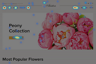 ARISTON FLOWERS: A GREAT CX AND ALL THE TRACKING THAT COMES WITH IT