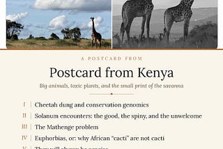 Postcard from Kenya: Big animals, toxic plants, and the small print of the savanna