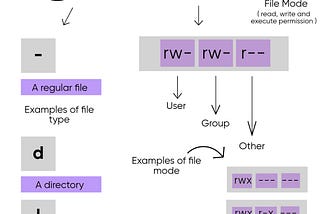 This guide will walk you through Linux permissions in a practical manner