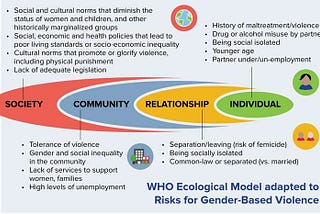 Buried Leads: Health Impacts for Survivors of Violence