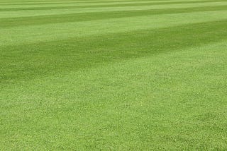 5 Advantages Of Installing A Portable Cricket Pitch