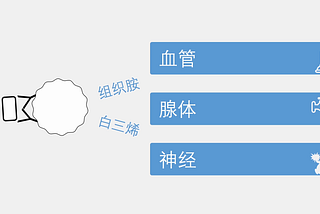 过敏性鼻炎的症状和检查