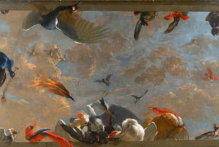 Abraham Bisschop and the Birds of Paradise