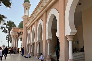 Things to do in South Gambia