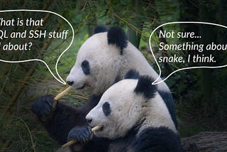 How to Get Data from an SQL Database into pandas via SSH