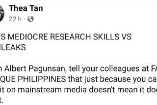 Thea Tan, Wikileaks, and “Research Skills”