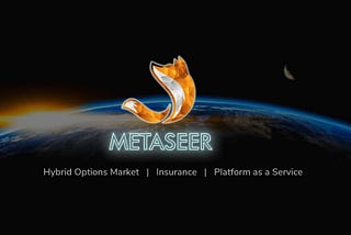 The first Launchpad project: Metaseer.