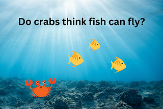Do crabs think fish are flying? The perception gap in organisational settings.