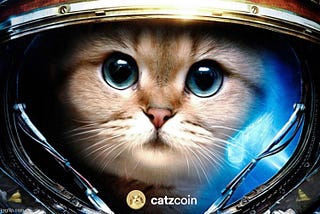 Why CatzCoin?