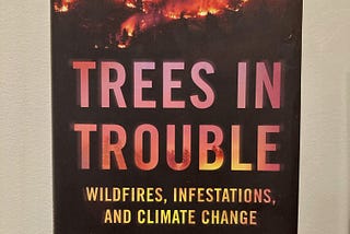 ‘Trees in Trouble’ by Daniel Mathews