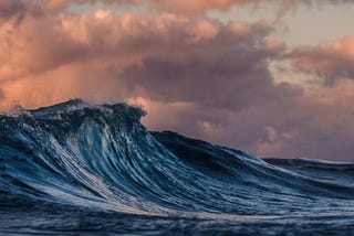 Building resilience with a lesson from nature.