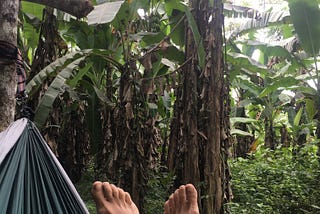 Healing in the Jungle