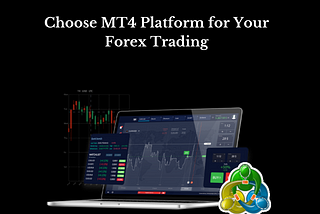 Choose MT4 Platform for Your Forex Trading