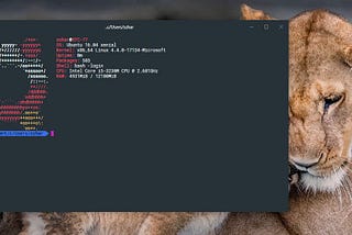Hyper.js + Oh My ZSH as Ubuntu on Windows (WSL) Terminal