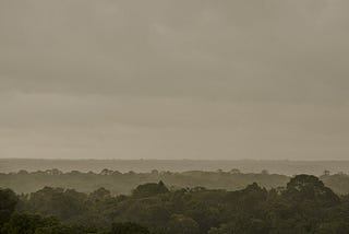 A extinção do Fundo Amazônia esta Longe?