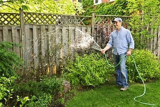 Use Fencing to Keep Everything Aesthetically Pleasing