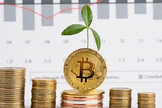 Why is Bitcoins Value Rising?