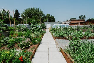 Toronto Brewery Uses Urban Agriculture For A Closed-Loop Food System
