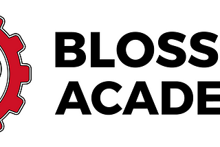 My Experience at the Blossom Academy Fellowship Program