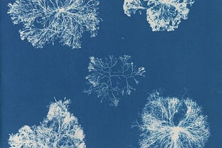 Cyanotypes I— A Short Introduction